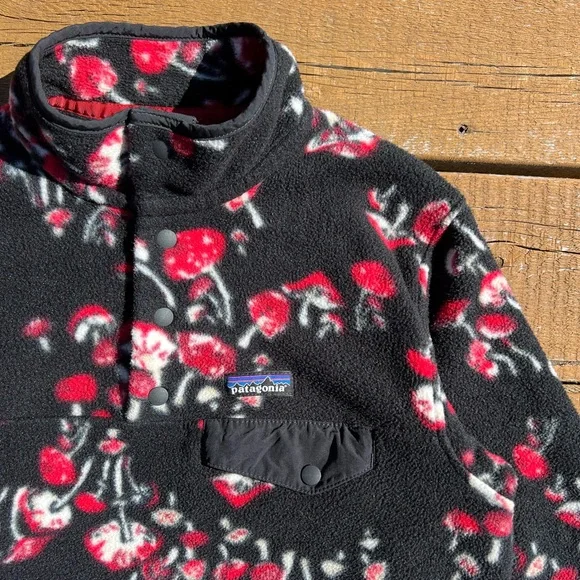 Mushroom Patagonia Synchilla Snap-T Fleece - Picture 4 of 8
